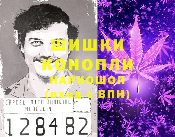 дмт Инсар