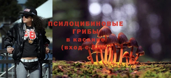 прущий лед Инта