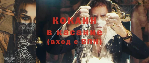 дмт Инсар