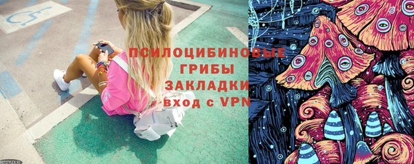 дмт Инсар