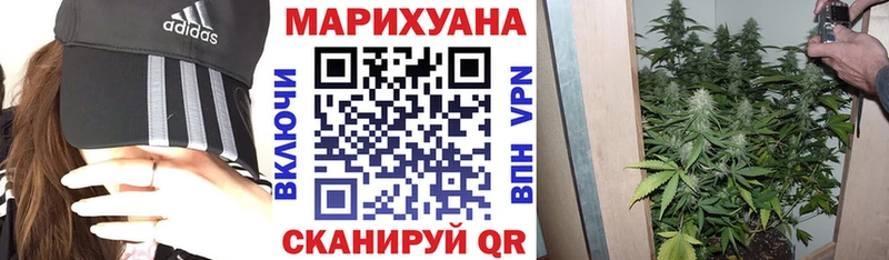 хочу наркоту Кологрив Шишки марихуана ГИДРОПОН